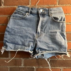 Everlane The Way High Denim Short